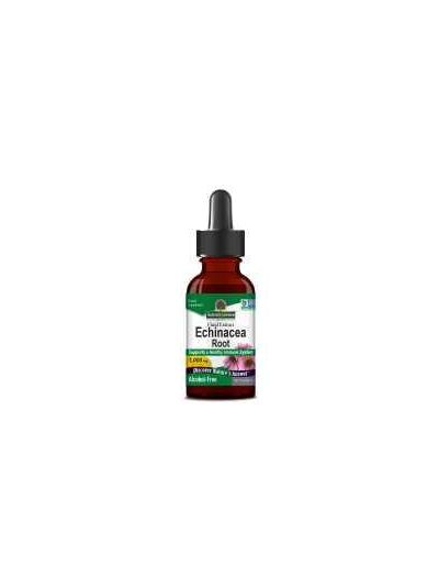 Nature's Answer, Echinacea Root (Coneflower), Alcohol-Free, 1000mg