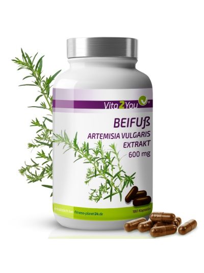 Vita2You Mugwort Extract - 180 Capsules - Artemisia Vulgaris - 10:1 Extract 6000mg Powder